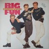 Big Fun ‎– A Pocketful Of Dreams (Vinyl, LP, Album)