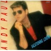 Andy Paul ‎– Vacationing Lovers (Vinyl, LP, Album)