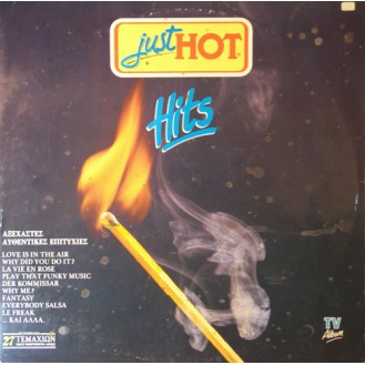 Various ‎– Just Hot Hits (2 × Vinyl, LP, Compilation)