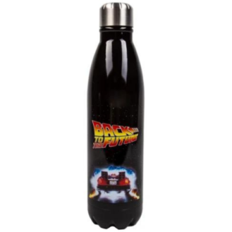 Fizz Back To The Future Water Bottle